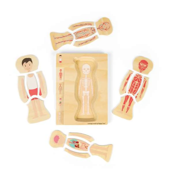 Puzzle corpo umano M - immagine 3