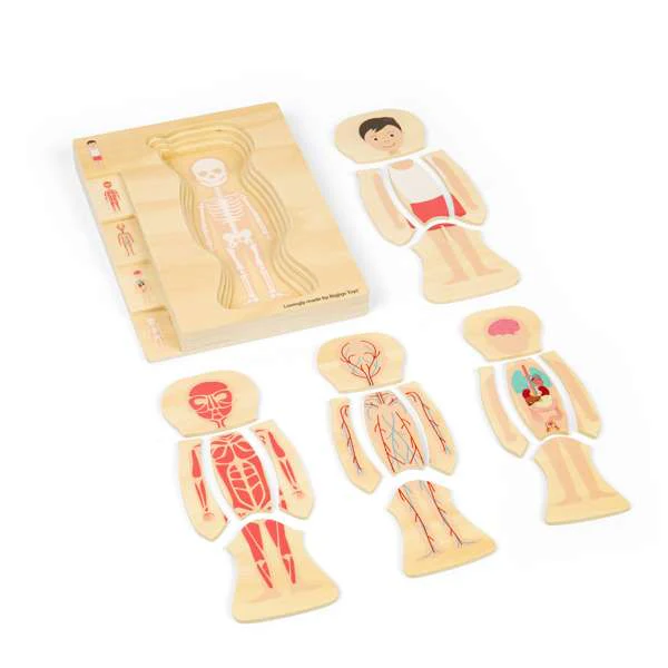 Puzzle corpo umano M - immagine 4
