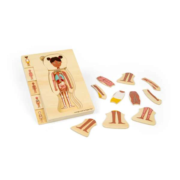 Puzzle corpo umano F
