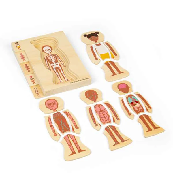 Puzzle corpo umano F - immagine 3