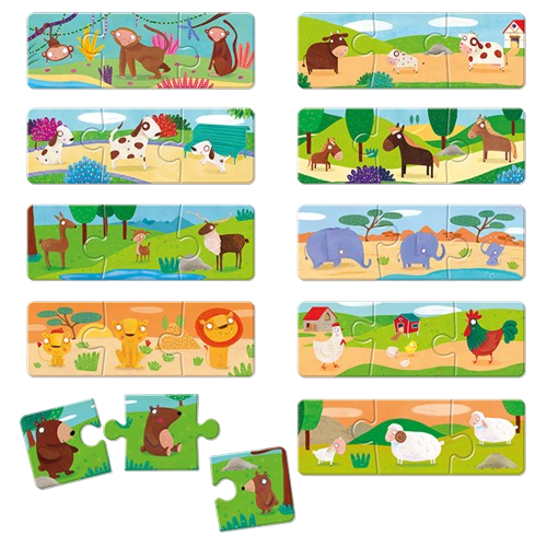 Famiglie degli animali - immagine 2