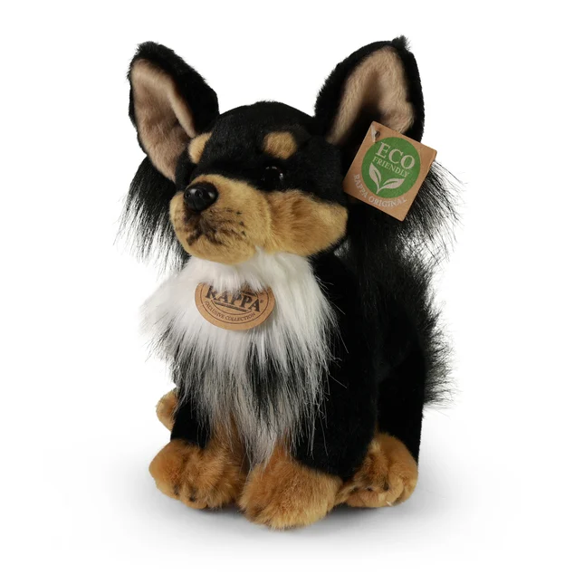 Chihuhua
