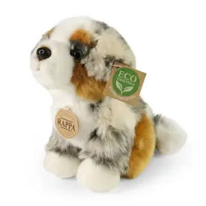 Australian Shepherd