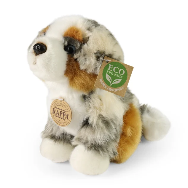 Australian Shepherd