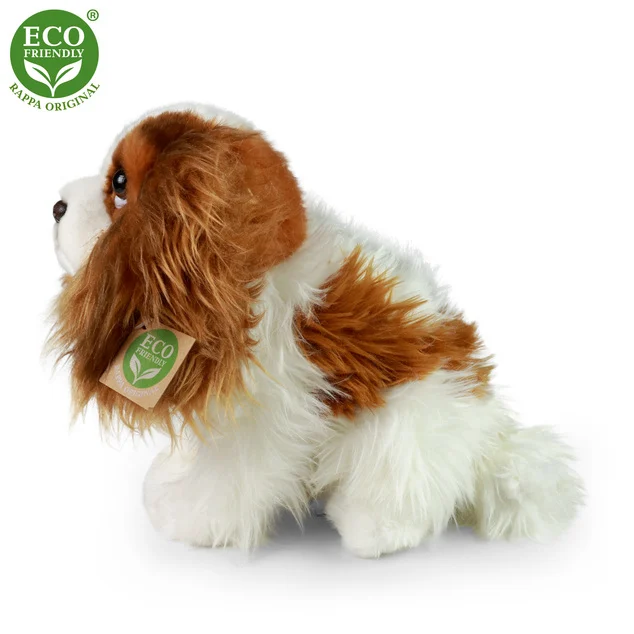 Cavalier King - immagine 2