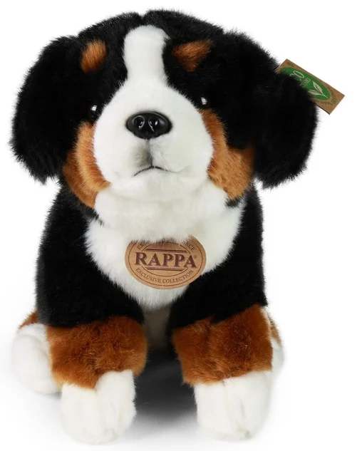 Bovaro bernese