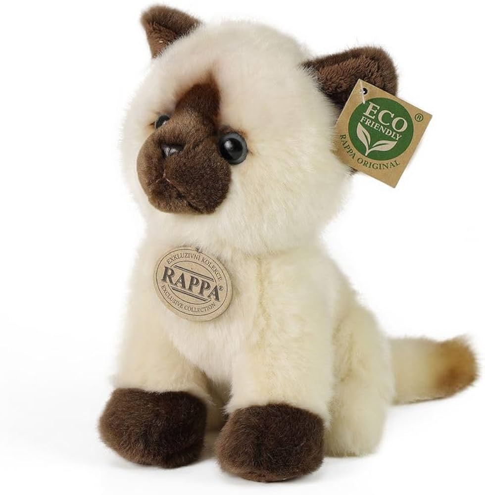 Gatto siamese