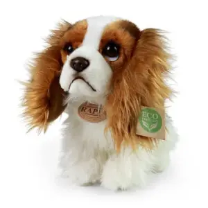 Cavalier King