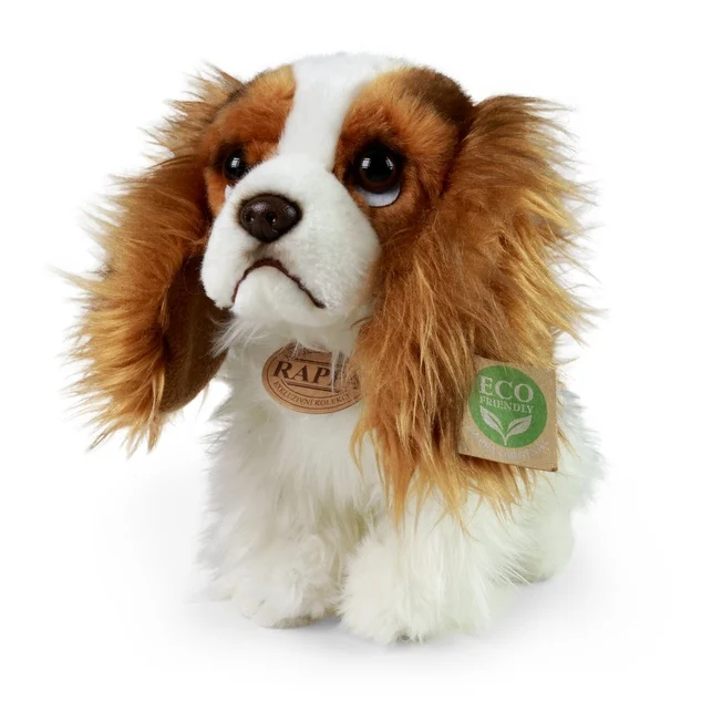 Cavalier King