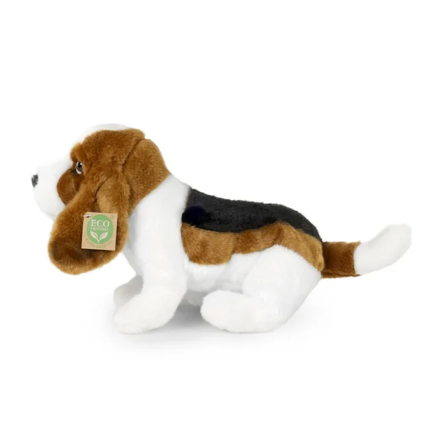 Bassetthound - immagine 2