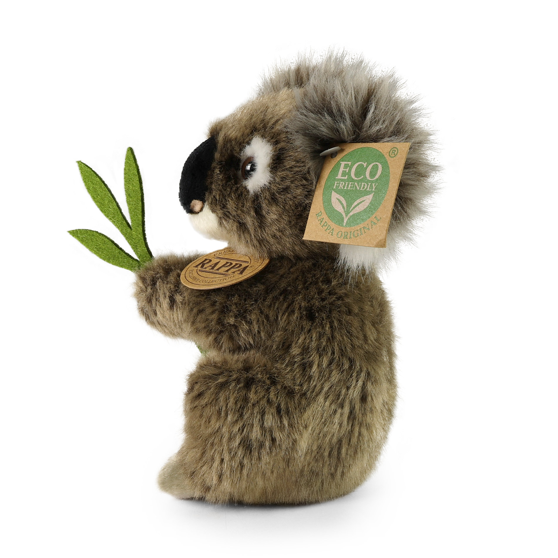 Koala - immagine 2