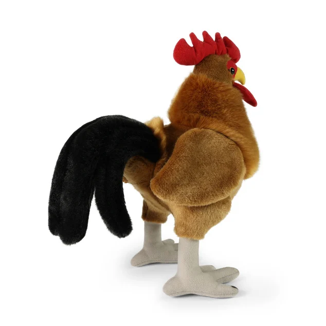 Gallo - immagine 3