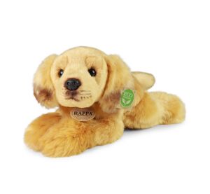 Golden retriver