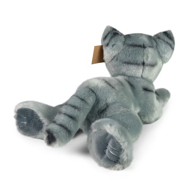 Gatto grigio - immagine 2