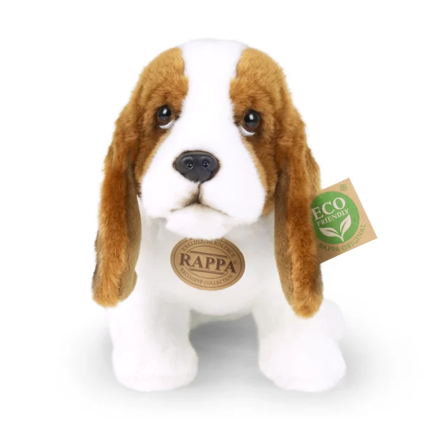 Bassetthound