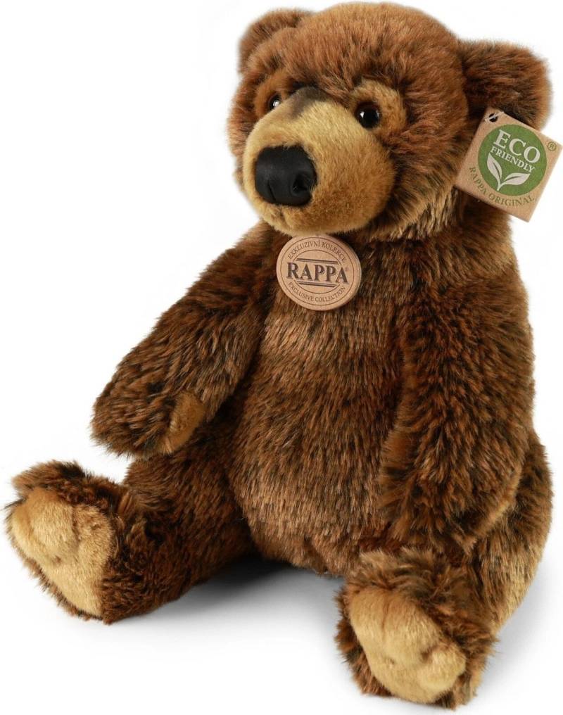 Orso - immagine 2