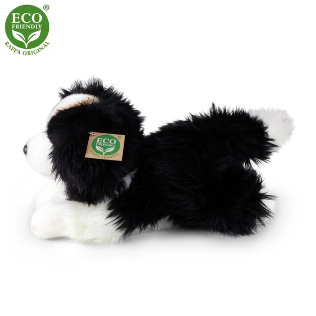 Border Collie - immagine 2