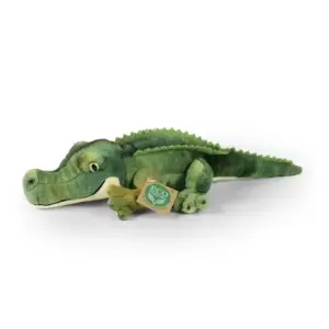 Coccodrillo