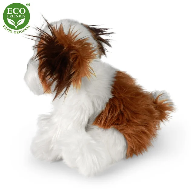 Shih tzu - immagine 2