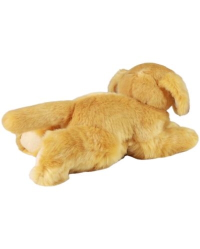 Golden retriver - immagine 2