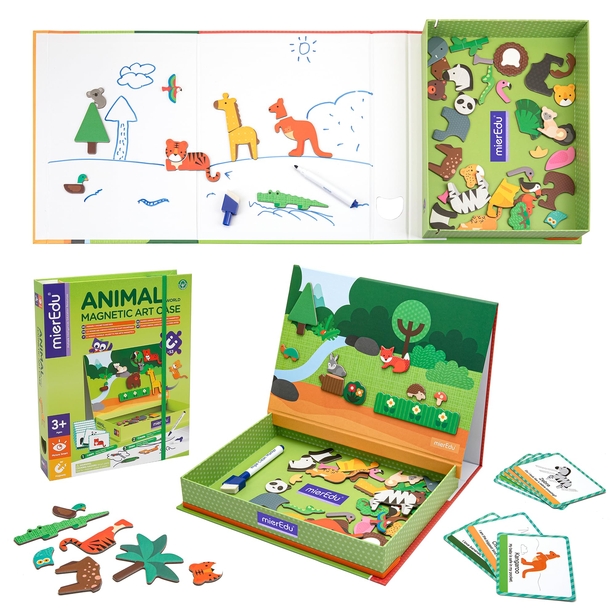 Box degli Animali magnetici