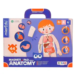 Valigetta Corpo umano magnetico